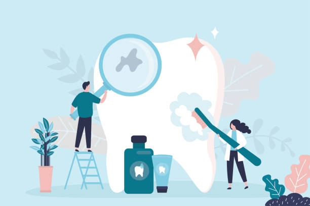 Professional Holistic Dental Care Services in Bremerton, WA
